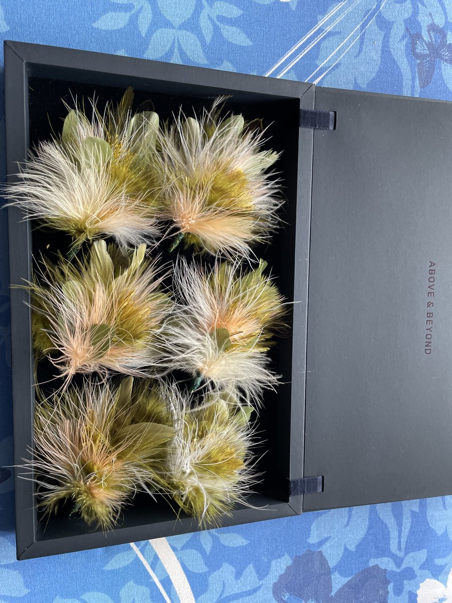 Dee Sellman-Leava tweet media