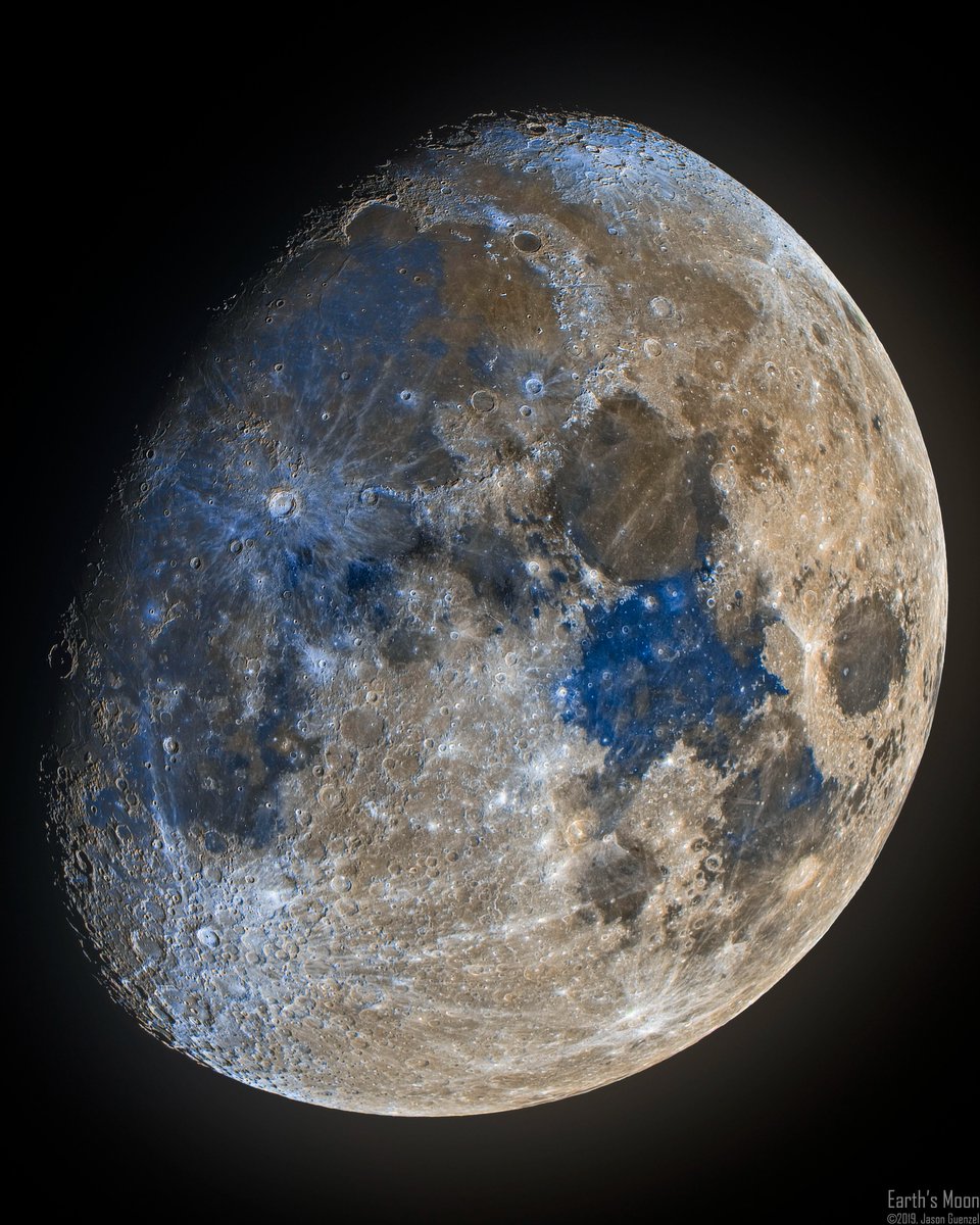 Polymarket Money tweet media