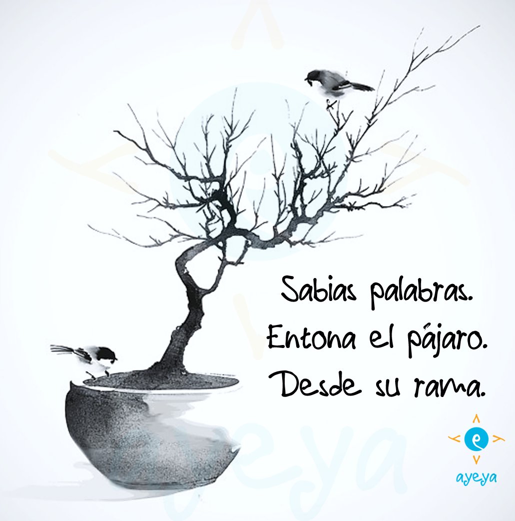 espacioayeya's tweet photo. Sabias palabras.
Entona el pájaro.
Desde su rama.
(Trinar)
#haikusquecuran #ayeya #espacioayeya #autortotal #actrizvital #elangeldejavi #haiku #haikujapones #escrituracreativa #microcuento #gregueria https://t.co/R9sZuwuaV0