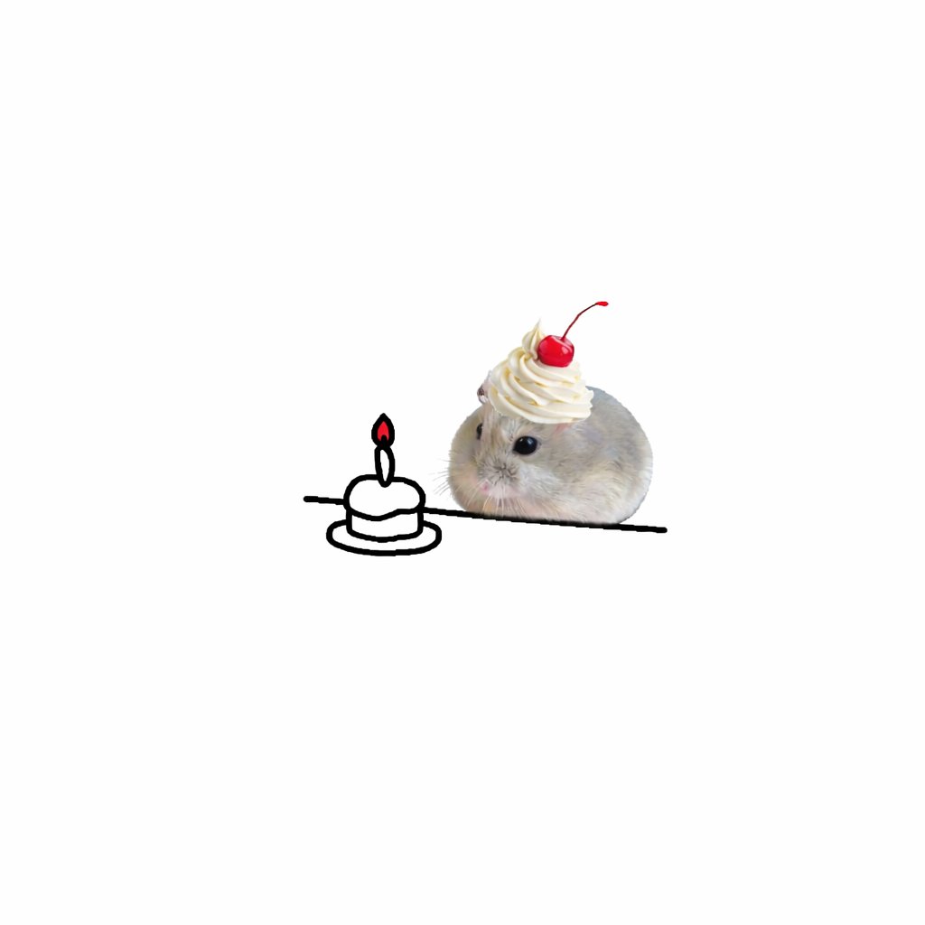 hamster (@hamsterie) on Twitter photo 