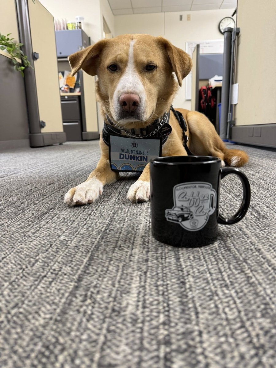 Bloomington Police tweet media