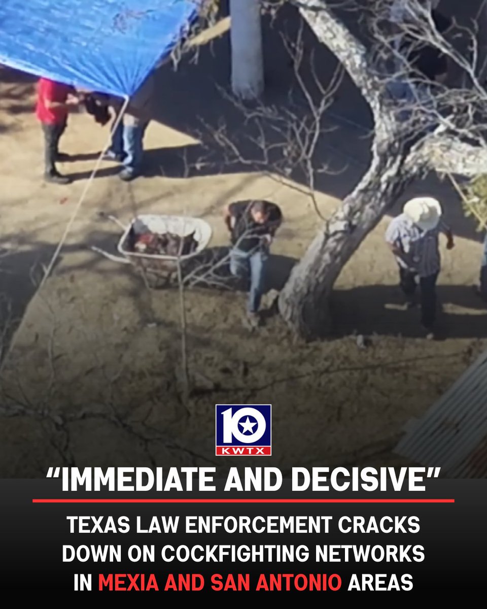 kwtx's tweet photo. #TEXAS sheriffs in #Bexar and #Freestone counties conducted two major raids that resulted in arrests, the seizure of numerous birds.  INFO: https://t.co/fhTskpqAT8 https://t.co/5qCTAm82Fd