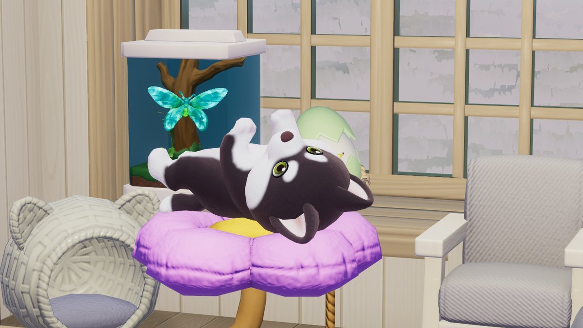 なるせりさ🐗 tweet media