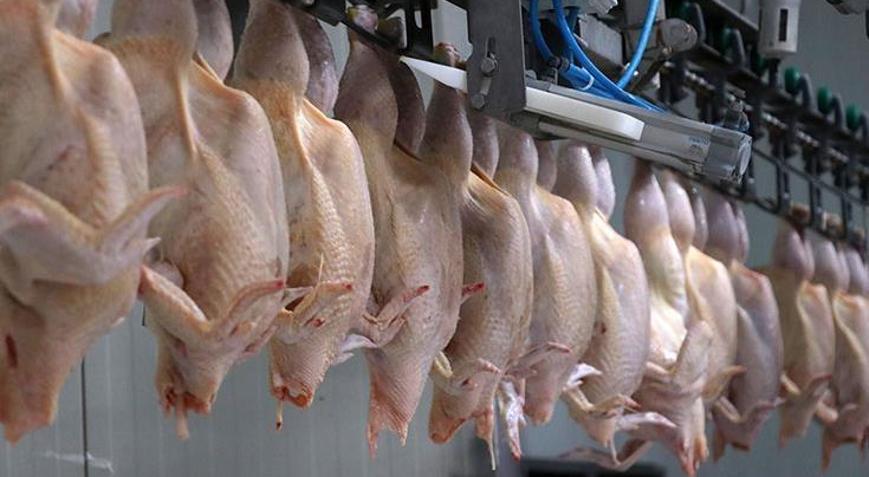 Ticaret Bakanlığı, piyasadaki arz-talep dengesini destekleyici adım olarak, kanatlı eti ihracatının durdurulmasına yönelik tedbirlerin bugün itibarıyla hayata geçirildiğini bildirdi