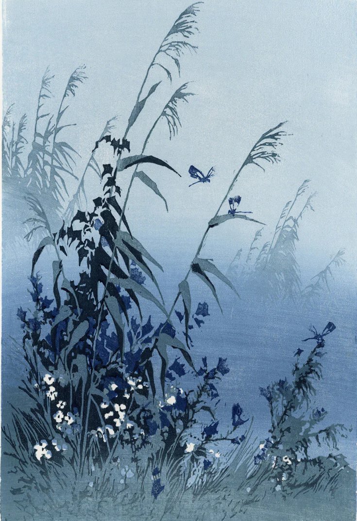 Grasses and Wildflowers in the Morning Haze 
woodcut by Oscar Droege 1930s