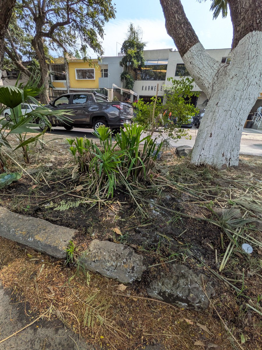 LeobiWan tweet media