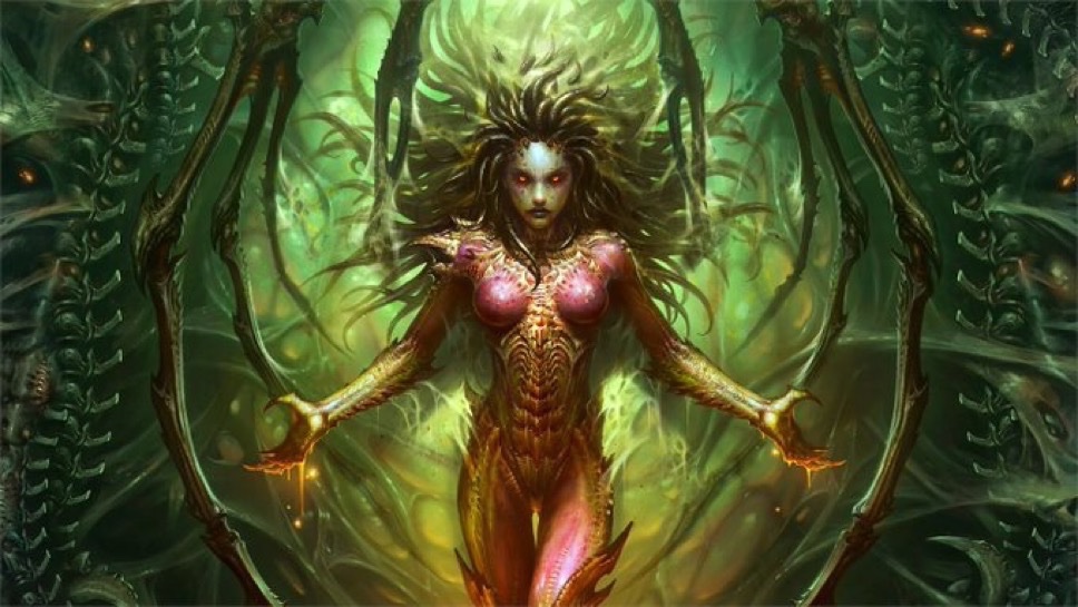 Pirat_Nation 🔴 tweet media