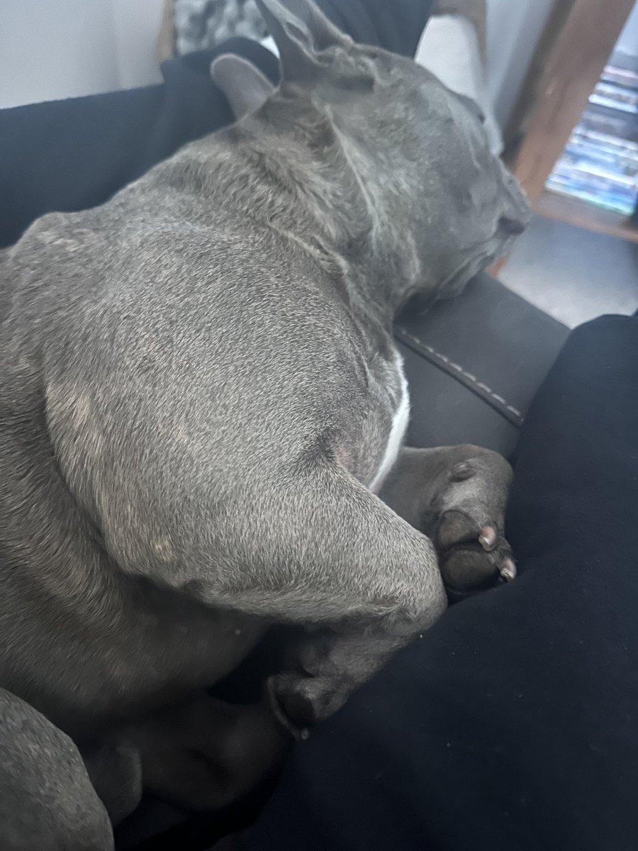 Shawn the Commissioner tweet media