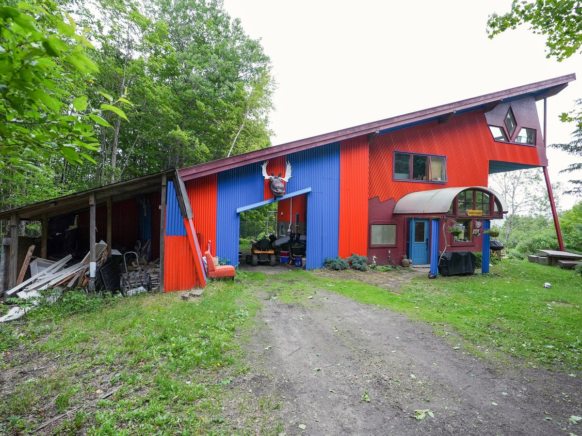 discovery+ tweet media