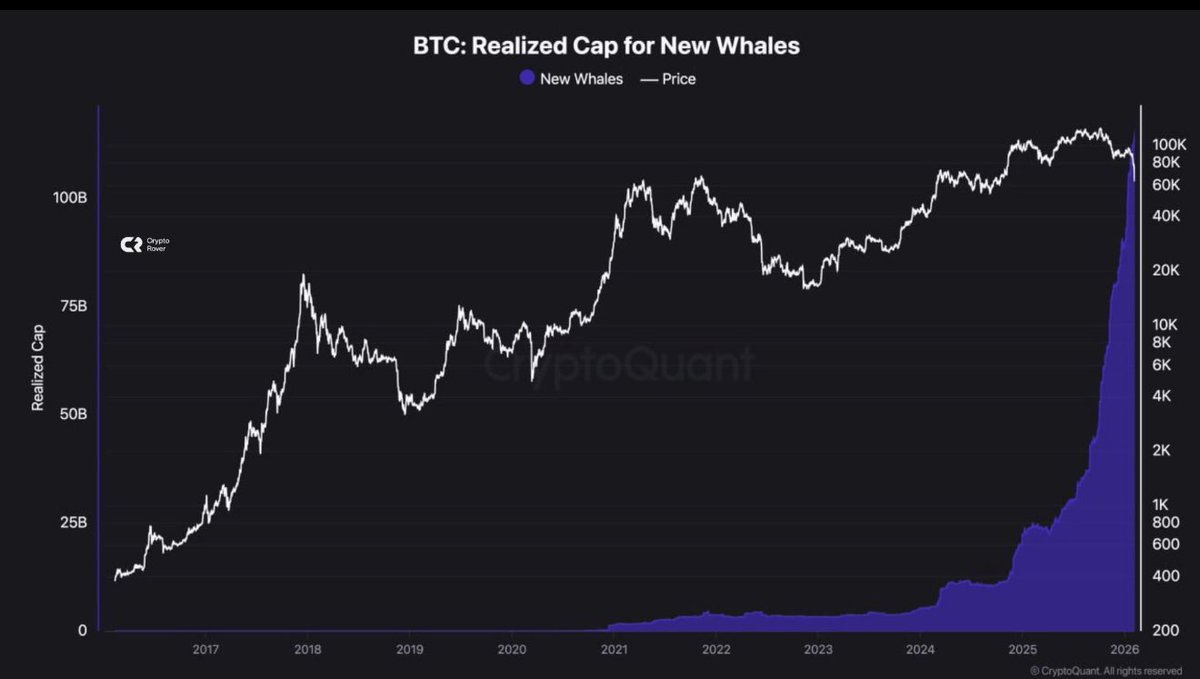 🧵 DOS GRÁFICAS. UN MENSAJE MUY CLARO DEL MERCADO.

📊 Gráfica 1: Net Realized Profit/Loss (capitulación)

Esta gráfica muestra cuánto dinero REAL se está perdiendo o ganando on-chain, desglosado por cohortes.

👉 Lo que vemos ahora:

•Uno de los picos más grandes de pérdidas