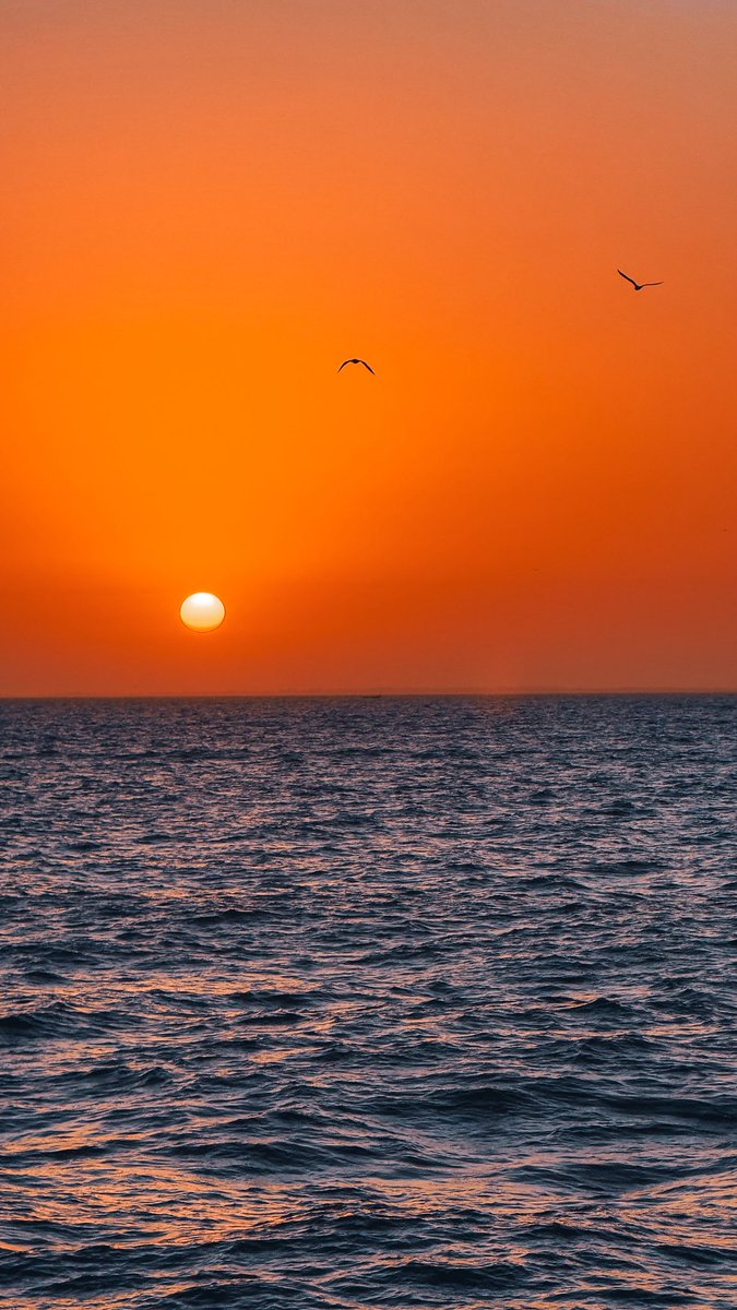 bdrpreira's tweet image. Sunrise view from the boat
#sunrise