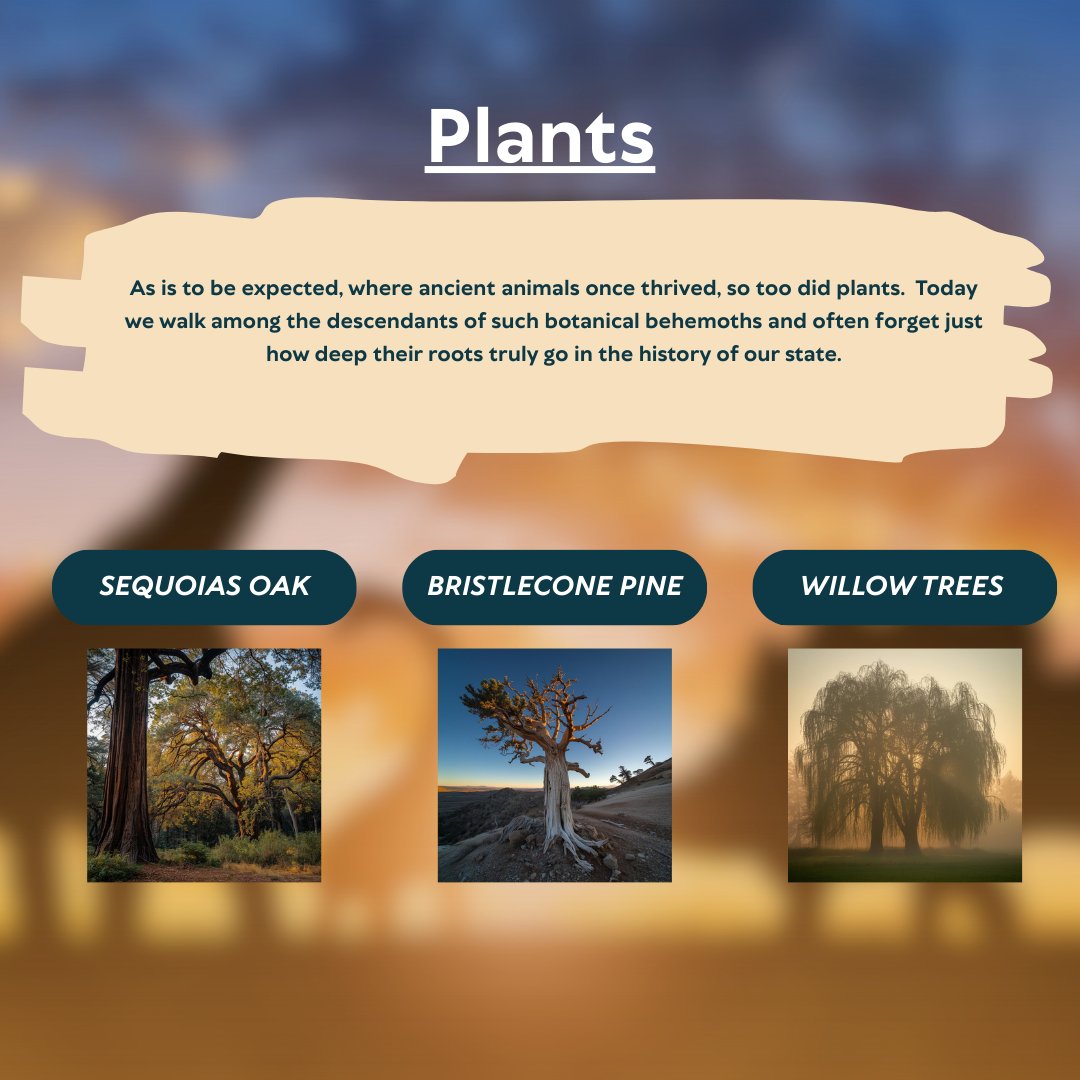 Every hill and valley in Fallon has a story millions of years old. Read all about it on our website: visitfallonnevada.com/the-rich-geolo… 

#visitfallon #fallonnevada #travelnevada