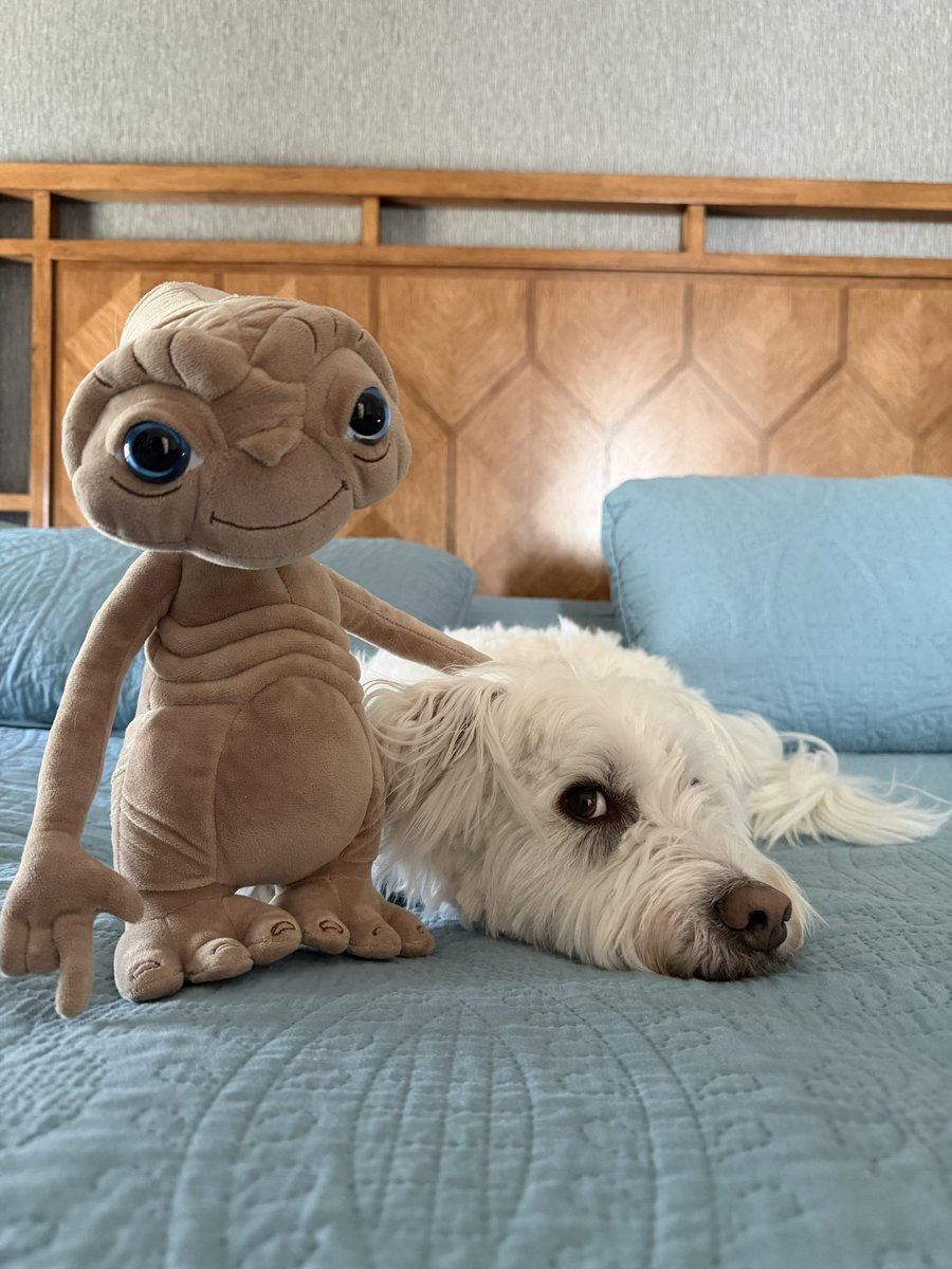 Perfect Parker tweet media