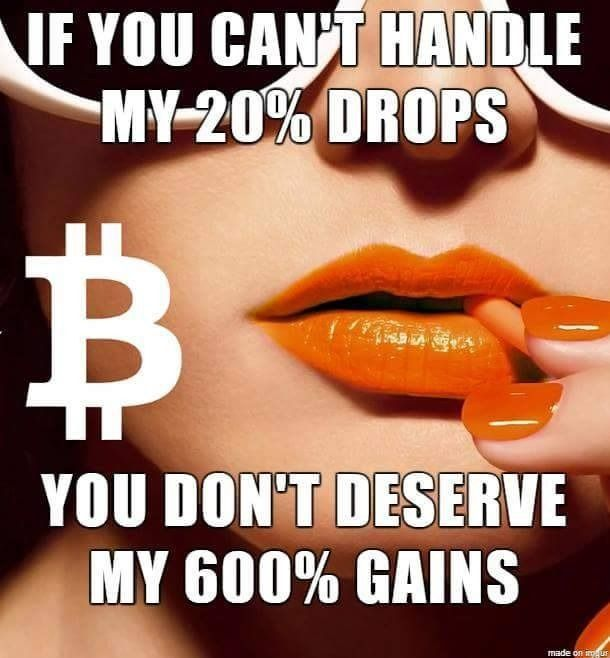 TradeUp tweet media