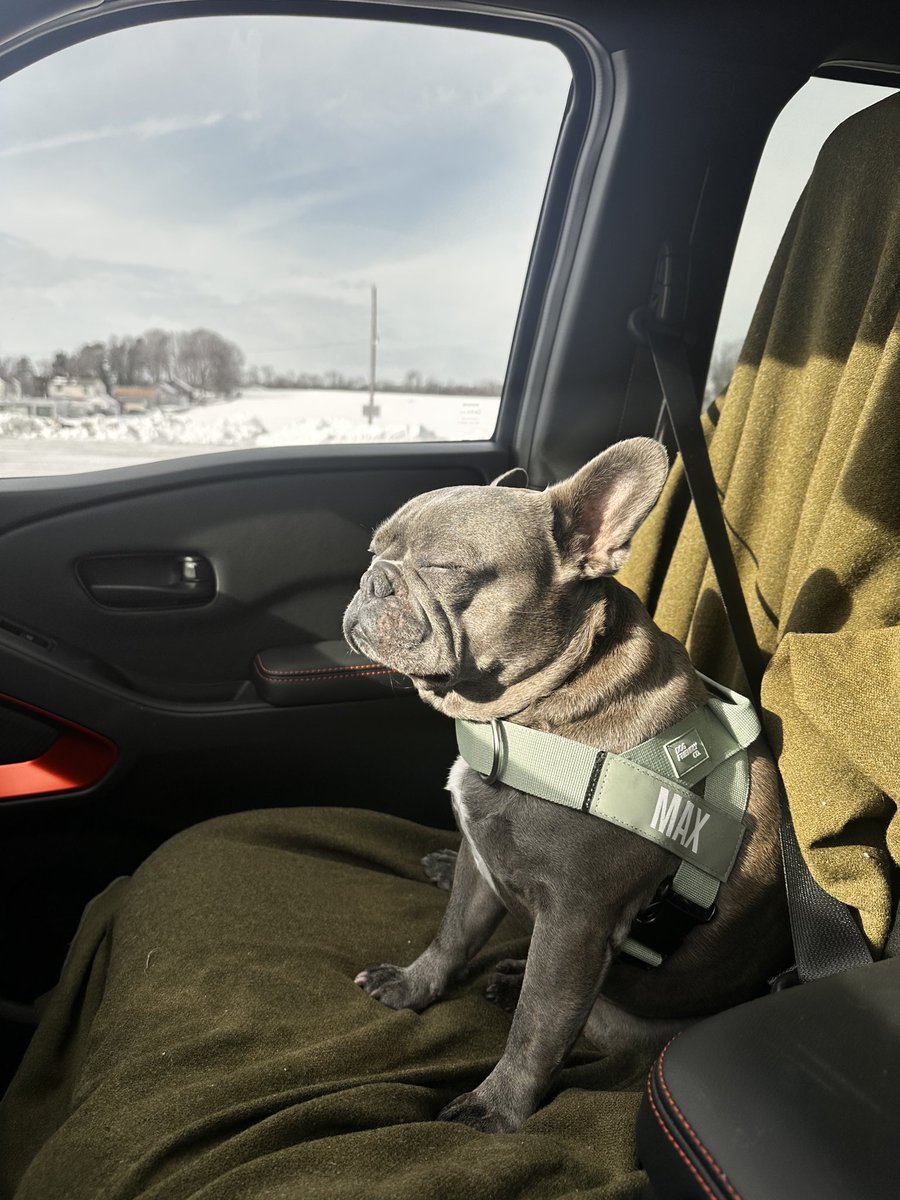 Shawn the Commissioner tweet media