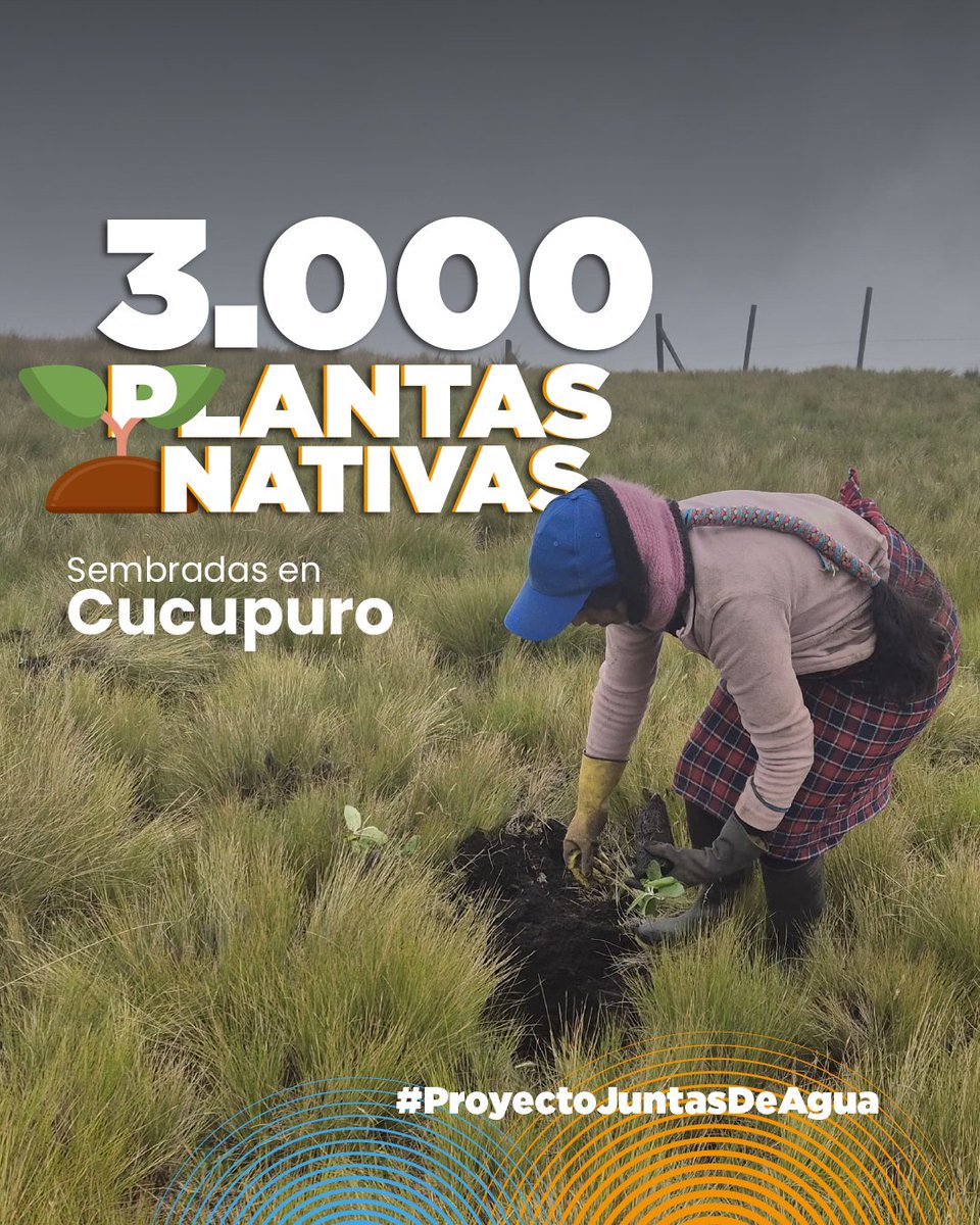 FONAG | El primer Fondo de Agua del mundo tweet media