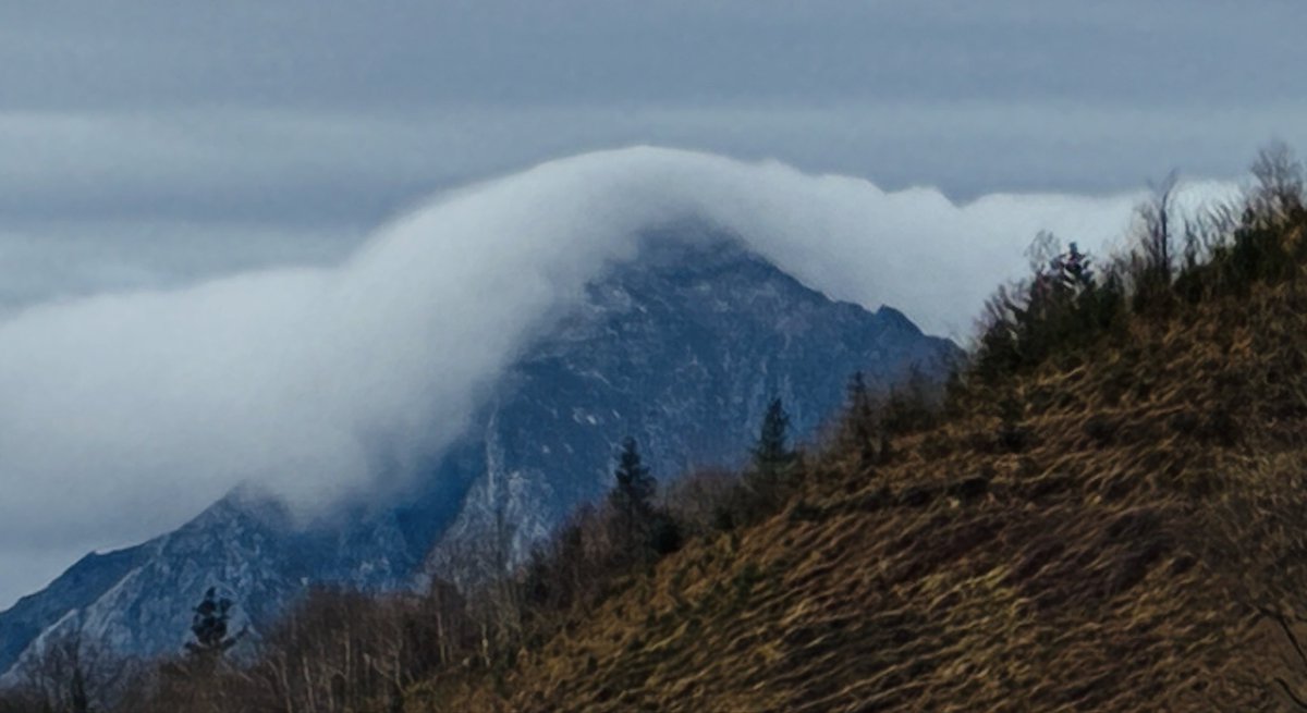 ATMÓSFERA
POÉTICA

misteriosa
y serena.

Feliz descanso
Alegre despertar
🔴🔴🔴