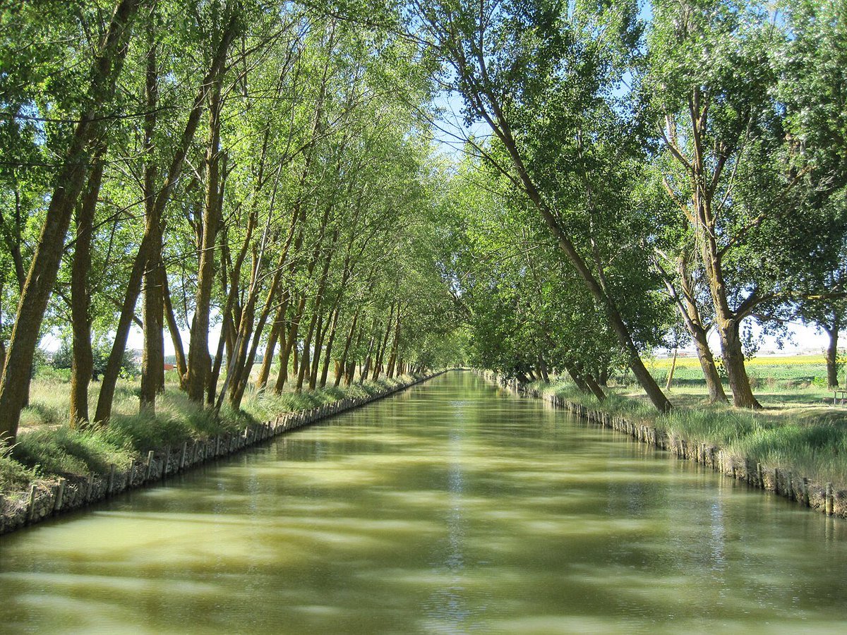 ElCampoAmarillo's tweet photo. El Canal de Castilla es una de las obras de ingeniería civil más ambiciosas de la España Ilustrada. Concebido para transportar el cereal de la meseta, dejó a su paso un rastro de esclusas, almacenes y puentes de sillería de una precisión técnica asombrosa. Es un claro recordatorio de cómo el hombre transformó el paisaje agrícola mediante la ingeniería para domar el curso del agua.