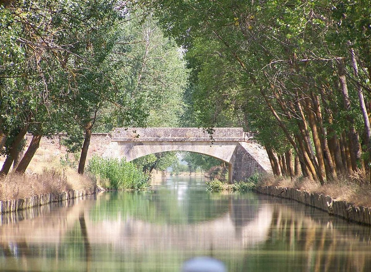 ElCampoAmarillo's tweet photo. El Canal de Castilla es una de las obras de ingeniería civil más ambiciosas de la España Ilustrada. Concebido para transportar el cereal de la meseta, dejó a su paso un rastro de esclusas, almacenes y puentes de sillería de una precisión técnica asombrosa. Es un claro recordatorio de cómo el hombre transformó el paisaje agrícola mediante la ingeniería para domar el curso del agua.