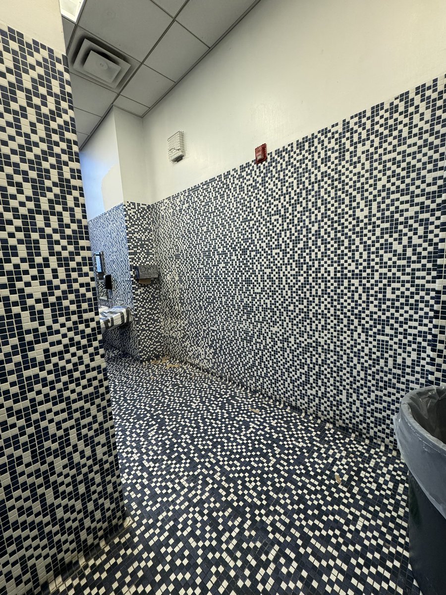 Sparkbird (they/them) tweet media