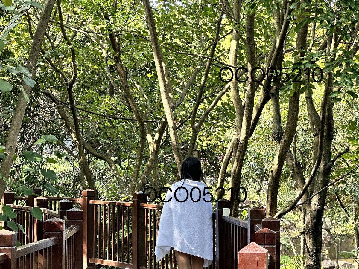 娇妻开发日记 tweet media