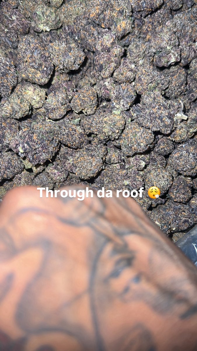 Slim5️⃣ tweet media