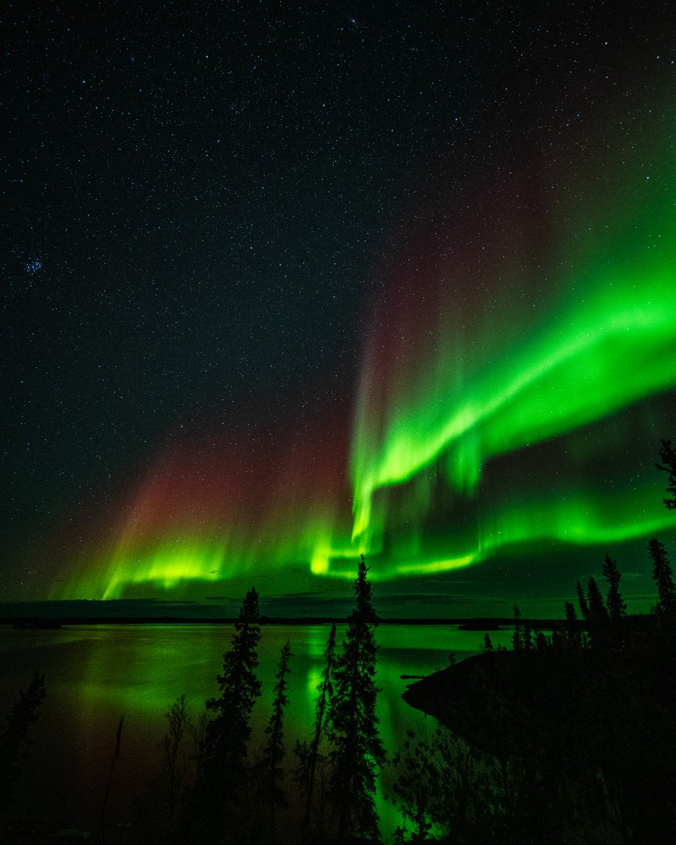 blachfordlodge's tweet photo. In the fall, the aurora doesn’t just dance overhead; it reflects back.
Discover why fall is one of our most magical times to visit.
🔗 https://t.co/eDX5IZnoln
📸@kailawalton
#BlachfordLodge #AuroraReflectionSeason #NorthernLights #FallInTheNorth #AuroraSeason #YellowknifeTravel https://t.co/Io5cCFipK7
