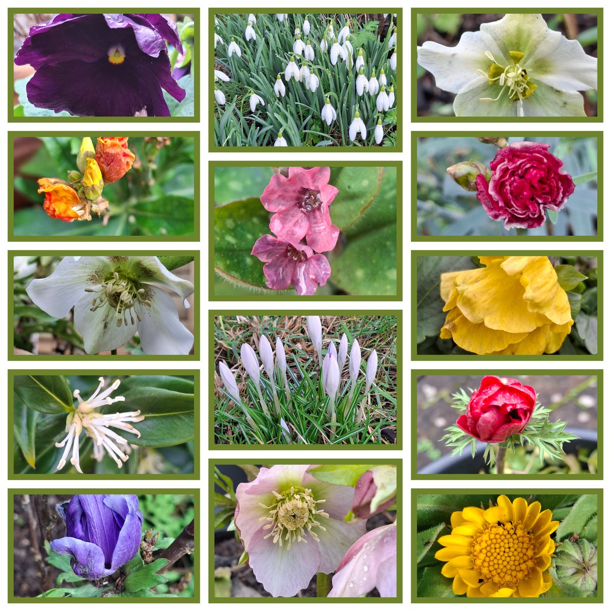 Clare Foster tweet media