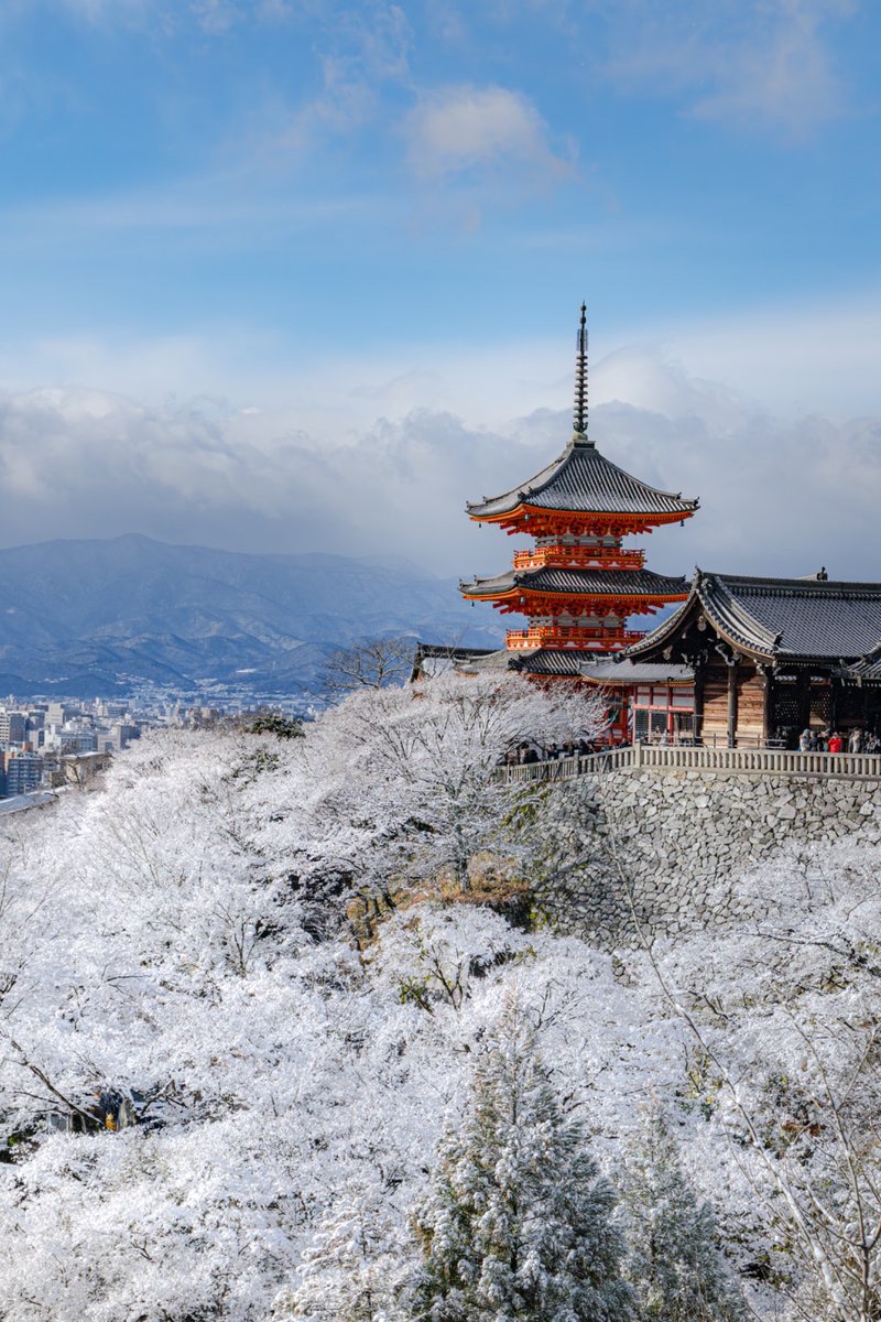 おいも (@oimo_3939) / Posts / X