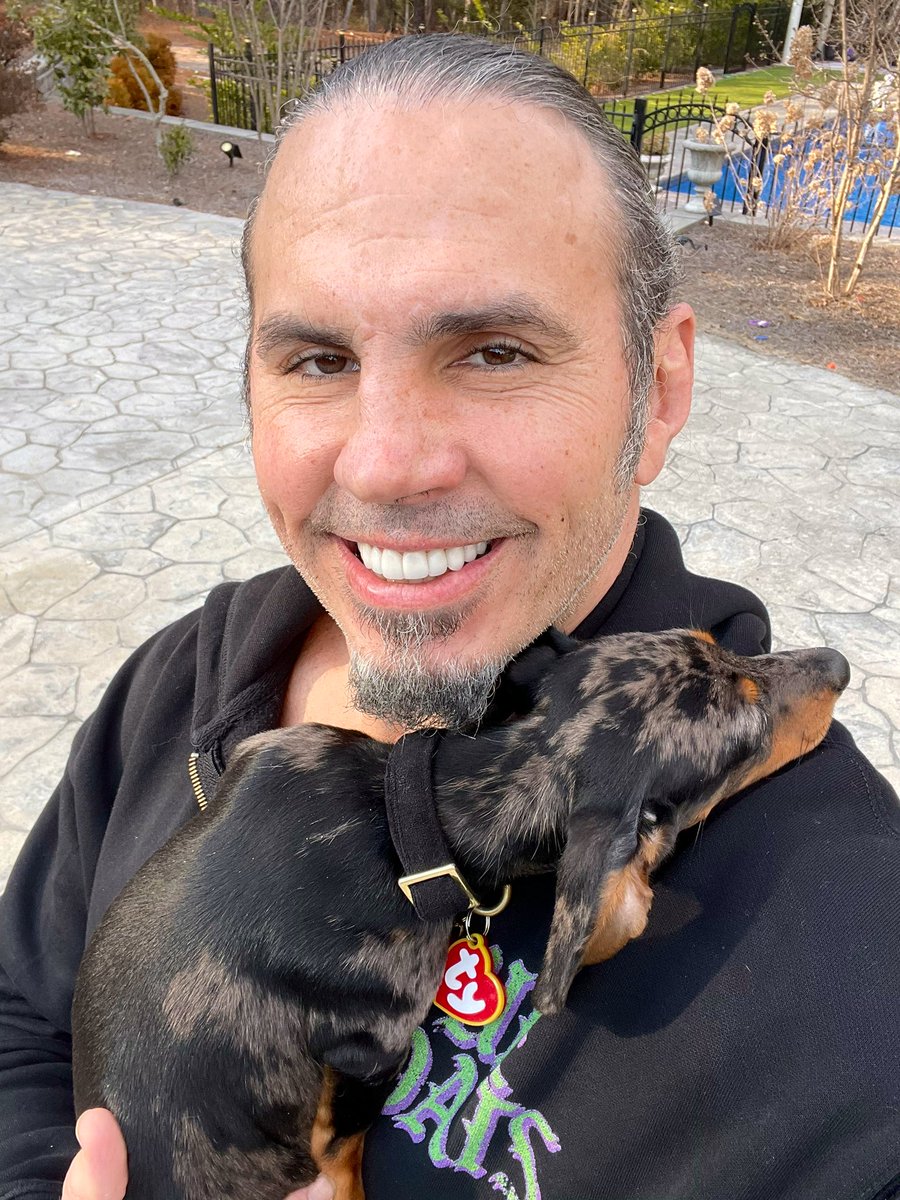 MATTHARDYBRAND's tweet photo. Delete is a cuddly little baby 💜 https://t.co/27Gx76JzD0