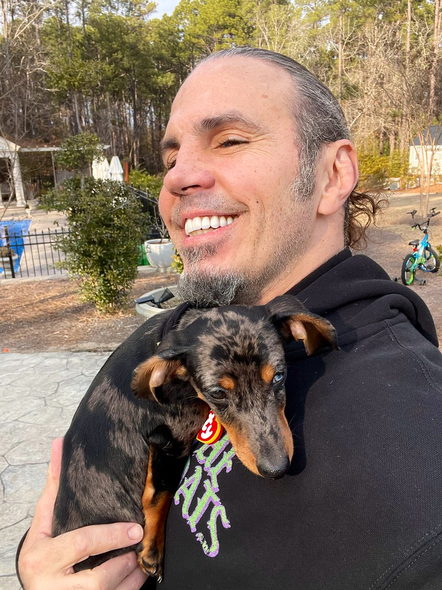 MATTHARDYBRAND's tweet photo. Delete is a cuddly little baby 💜 https://t.co/27Gx76JzD0