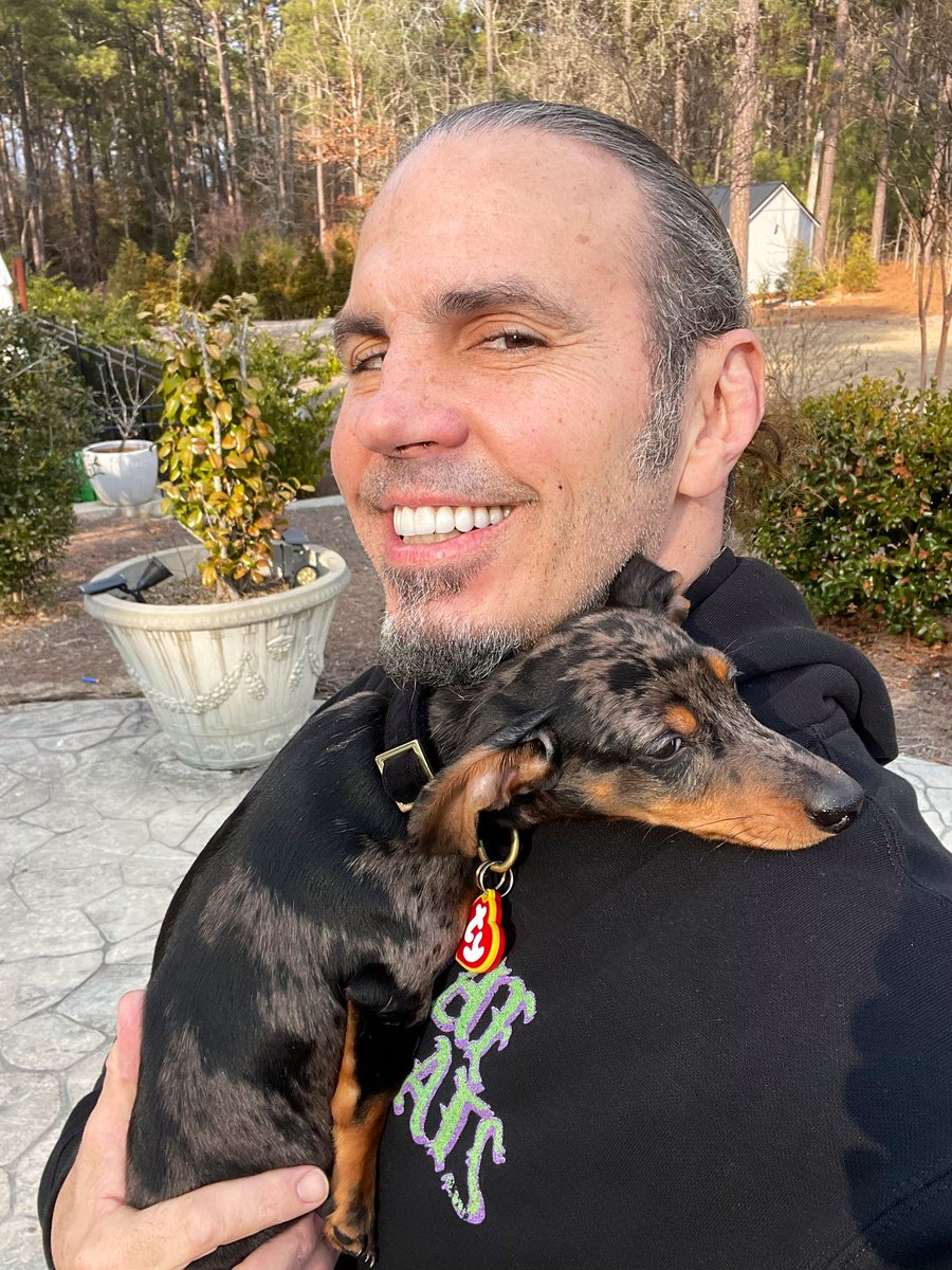 MATTHARDYBRAND's tweet photo. Delete is a cuddly little baby 💜 https://t.co/27Gx76JzD0