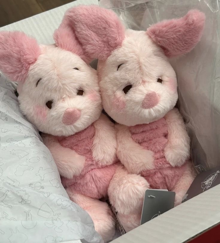 piglet plushies