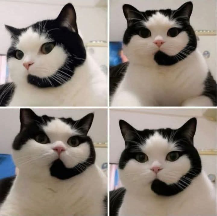 Vive con Propósito. tweet media