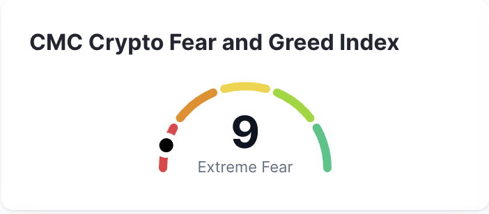 Drip Credit tweet media