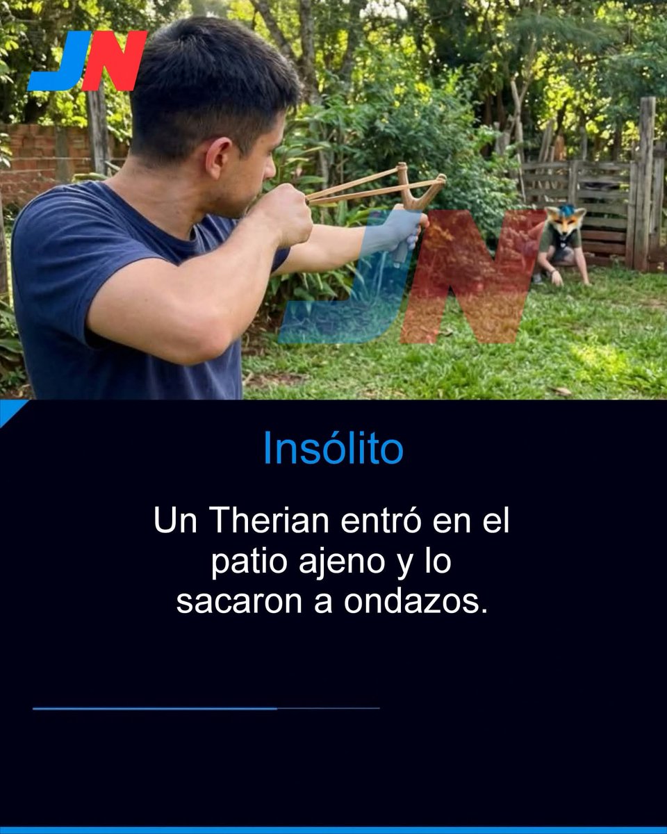 Agus tweet media