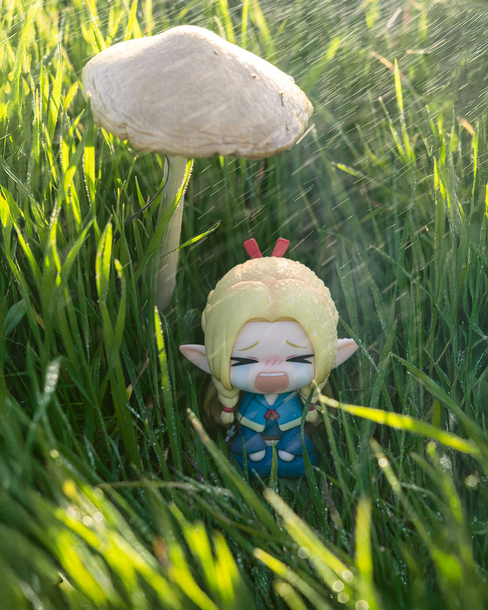 陶格曼 tweet media