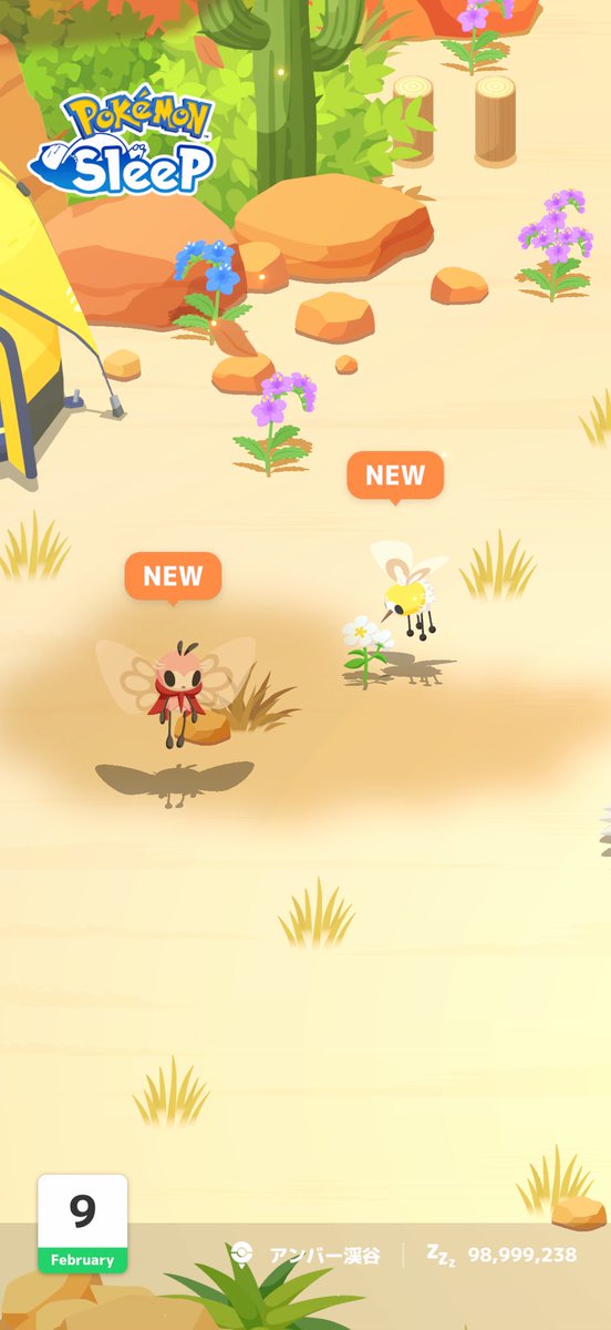 すず*わかくさのすがた tweet media