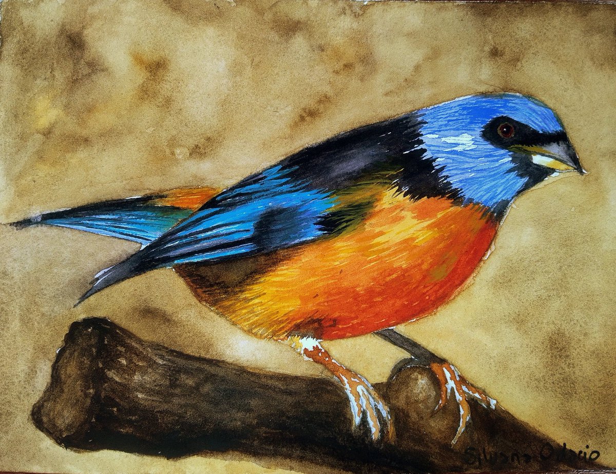 Silvana Odacio tweet media