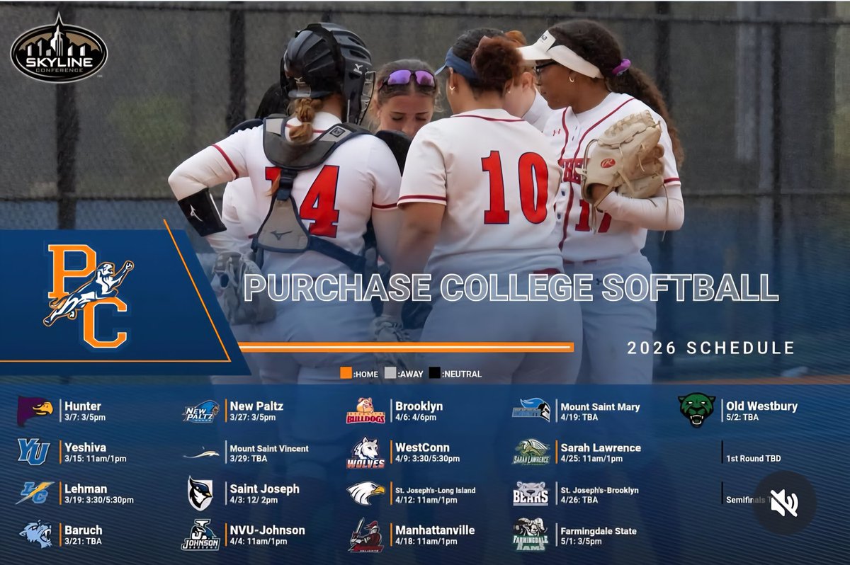 Natalie Gallo 2025 (@natthecatgallo) on Twitter photo 