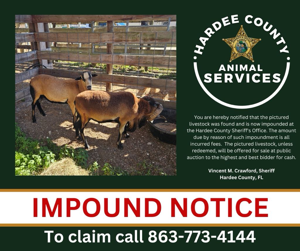 Hardee County Sheriff’s Office tweet media