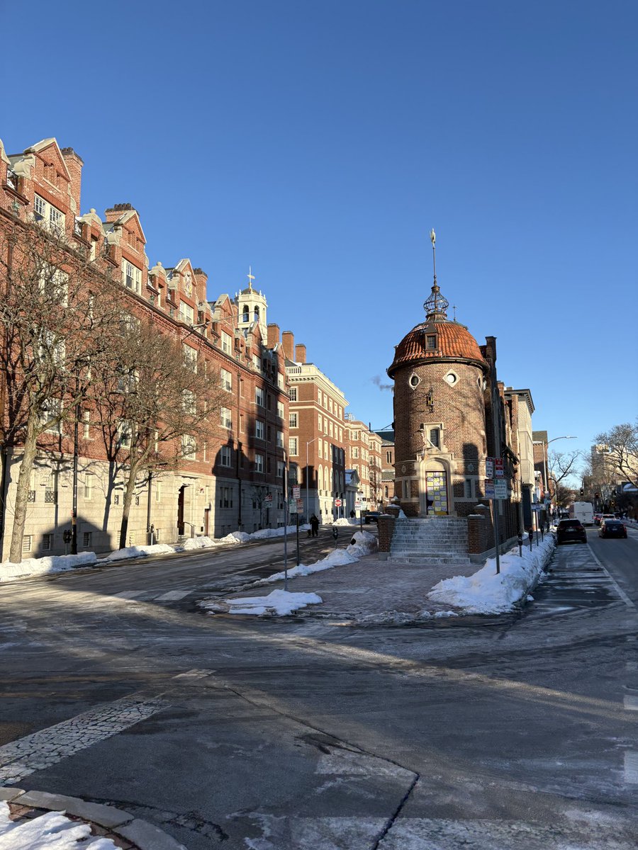 MikeMike tweet media