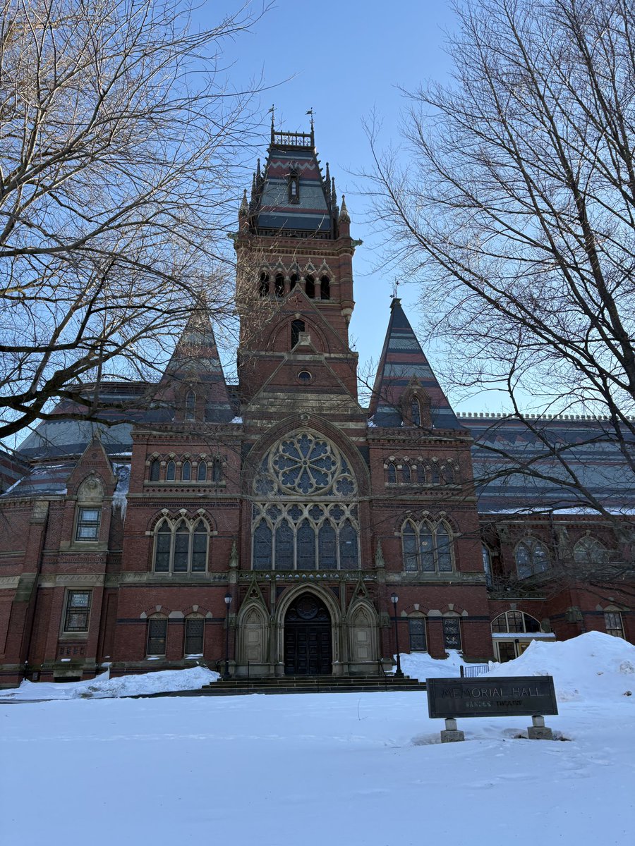 MikeMike tweet media