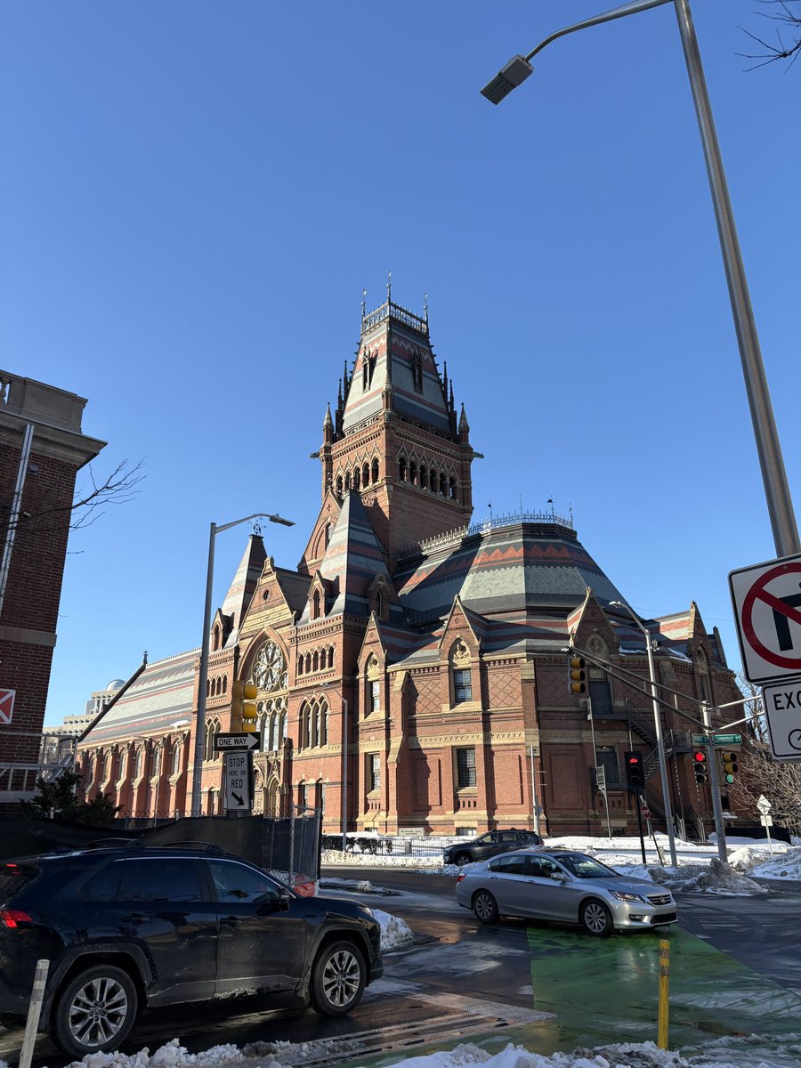 MikeMike tweet media