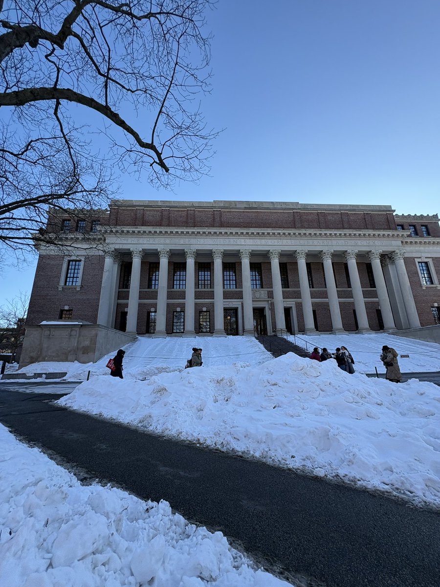 MikeMike tweet media