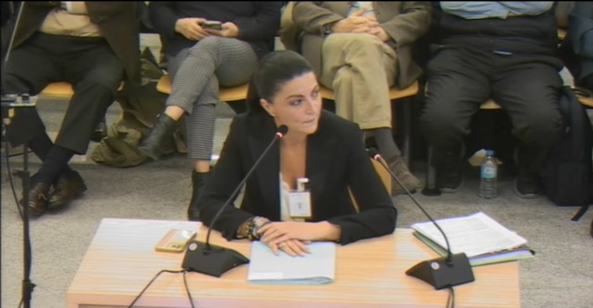 Fin de mi declaración como testigo en la Audiencia Nacional. 

De los 18 abogados defensores de los acusados solo 2 me han interrogado. El resto han adoptado la estrategia más inteligente. Mi último servicio en la
Sociedad pública del Estado, Mercasa, ha sido recluirme durante 10