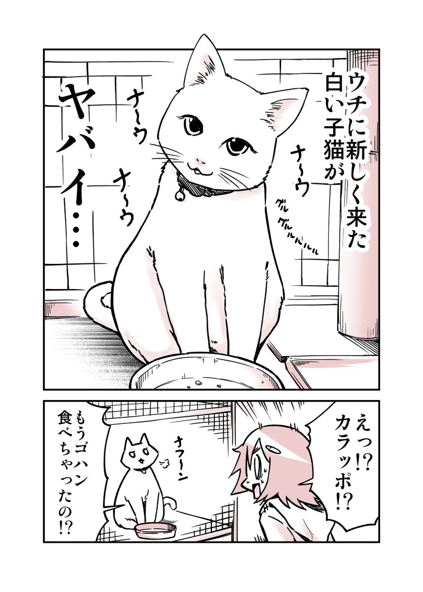 大和なでしこ 6/7コミティア156 る13b スタジオナデシコ tweet media