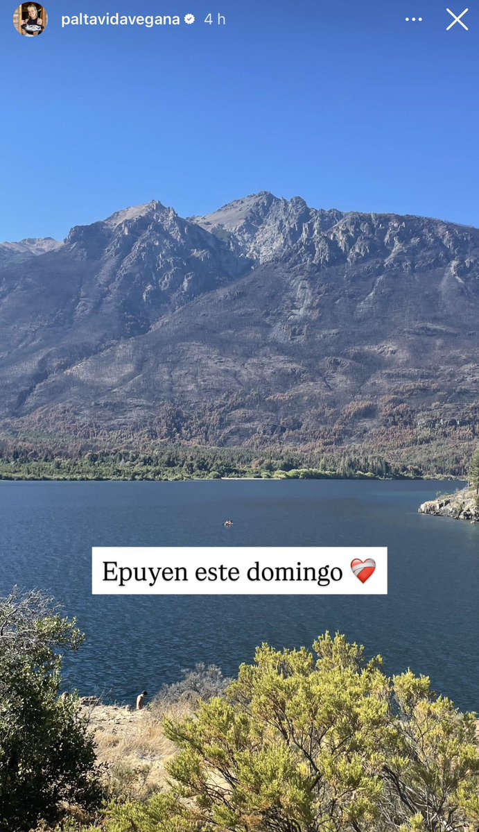 Todavía hay incendios activos en Chubut, por cierto. No nos va a quedar nada de nada ❤️‍🩹

Se puede seguir donando porque necesita cosas. Vayan al Instagram de @paltavegana para más info. Hay un montón de gente pero siempre le dono a ella porque la conozco.

instagram.com/paltavidavegan…