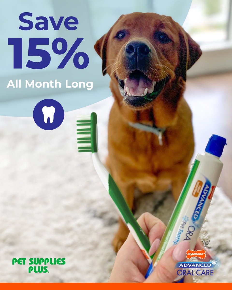 Nylabone Products tweet media