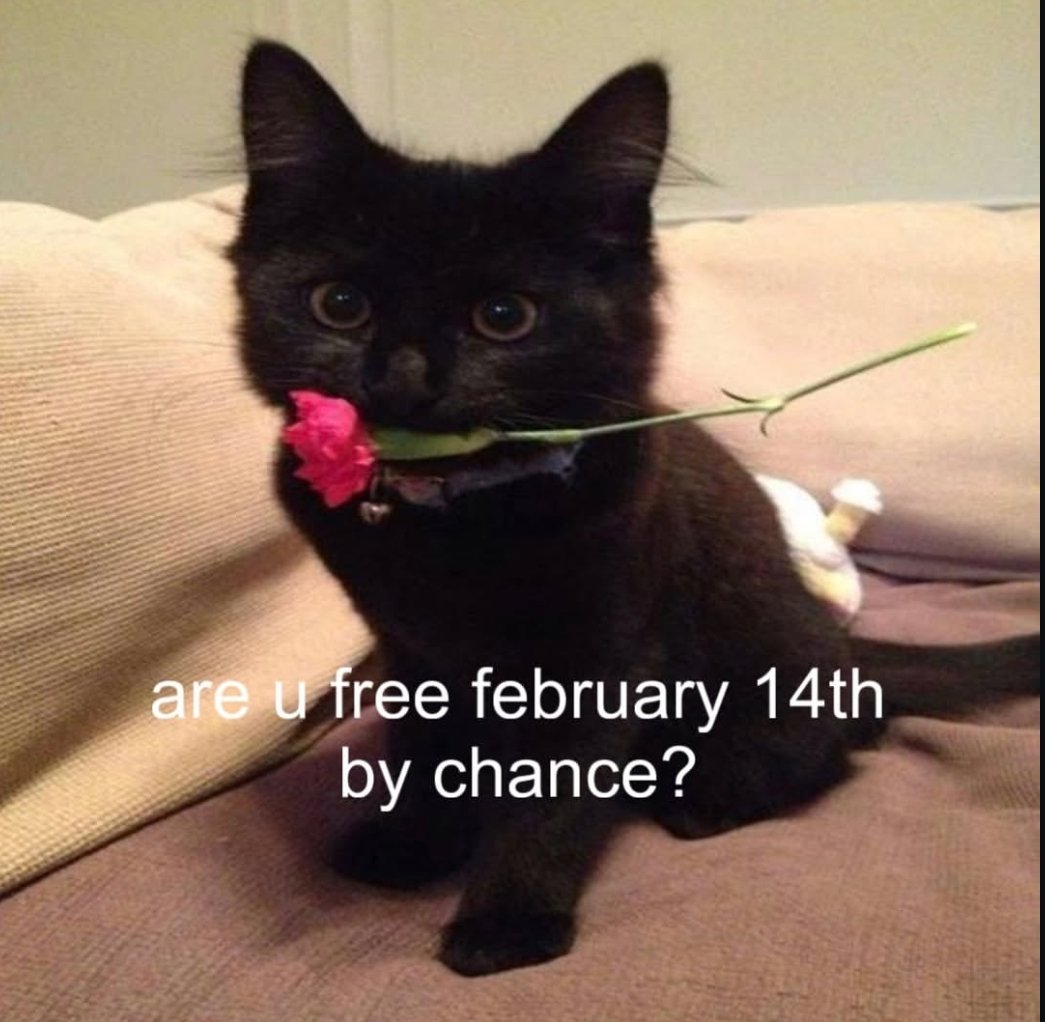 Buenas gente!!!

Se acerca San Valentín o el día del amor y la amistad!!!

Así que vengo a preguntar 

¿¿Que dinámica les gustaría ver ese día??